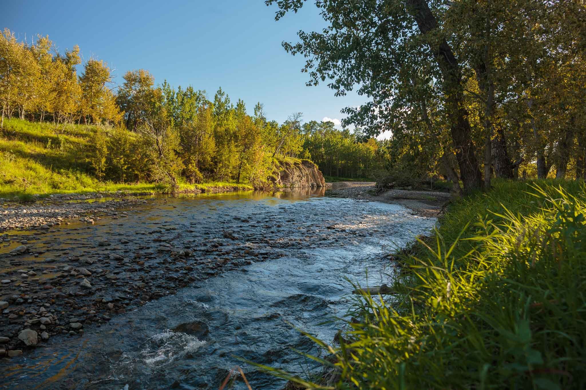 130827--Pekisko-Creek-054915.jpg