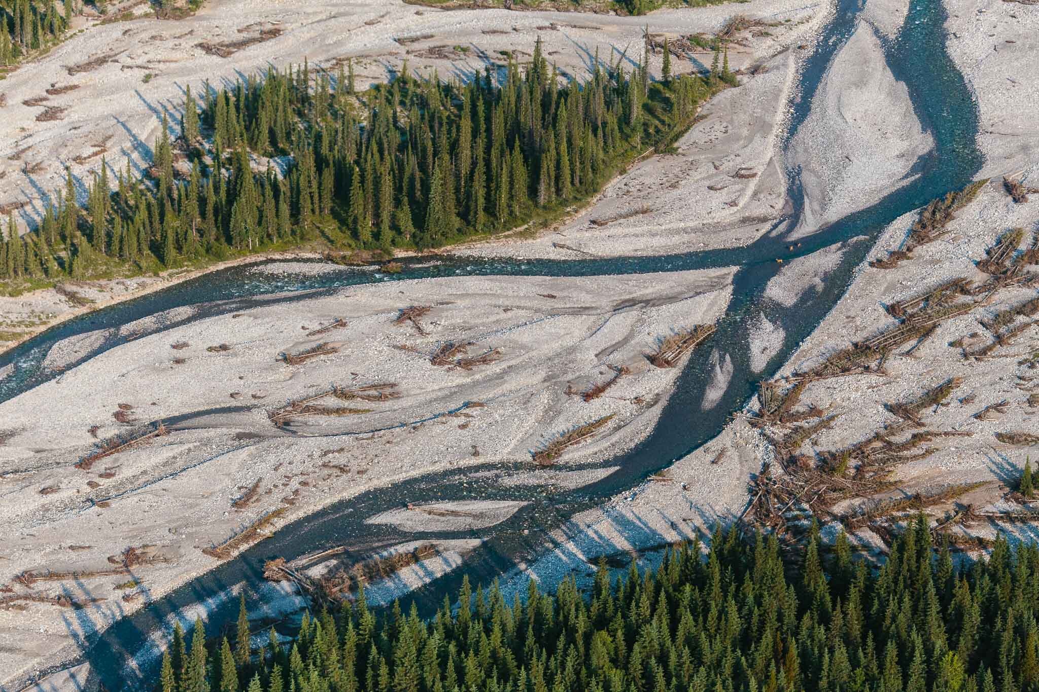 140713-Elbow-River-Alberta-202205.jpg