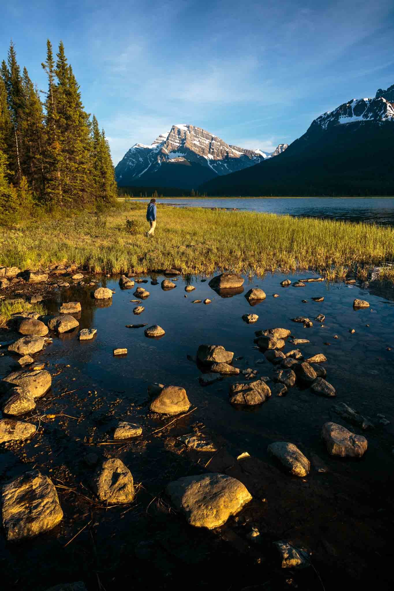 180618-Waterfowl-Lake-Banff-210610.jpg