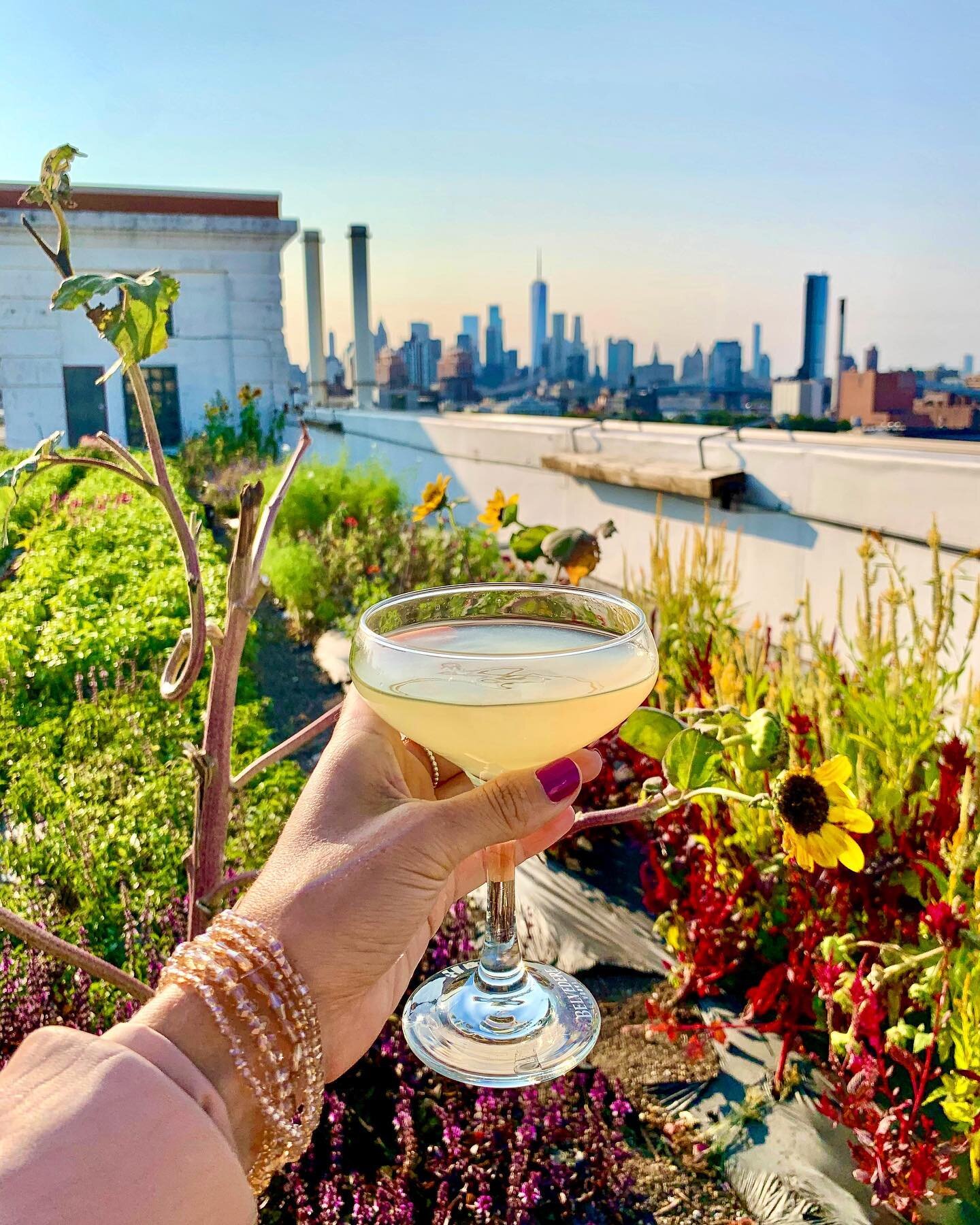 Getting back to nature 🌿🌻🍸
Scenes from a recent visit to the gorgeous rooftop farm @brooklyngrange where I learned to mix up refreshing cocktails with farm fresh produce &amp; all-natural @belvederevodka (I especially loved the Eastern Standard ma