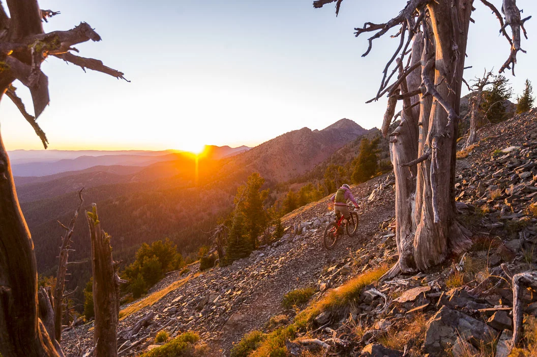 Brave Endeavors Strength Training