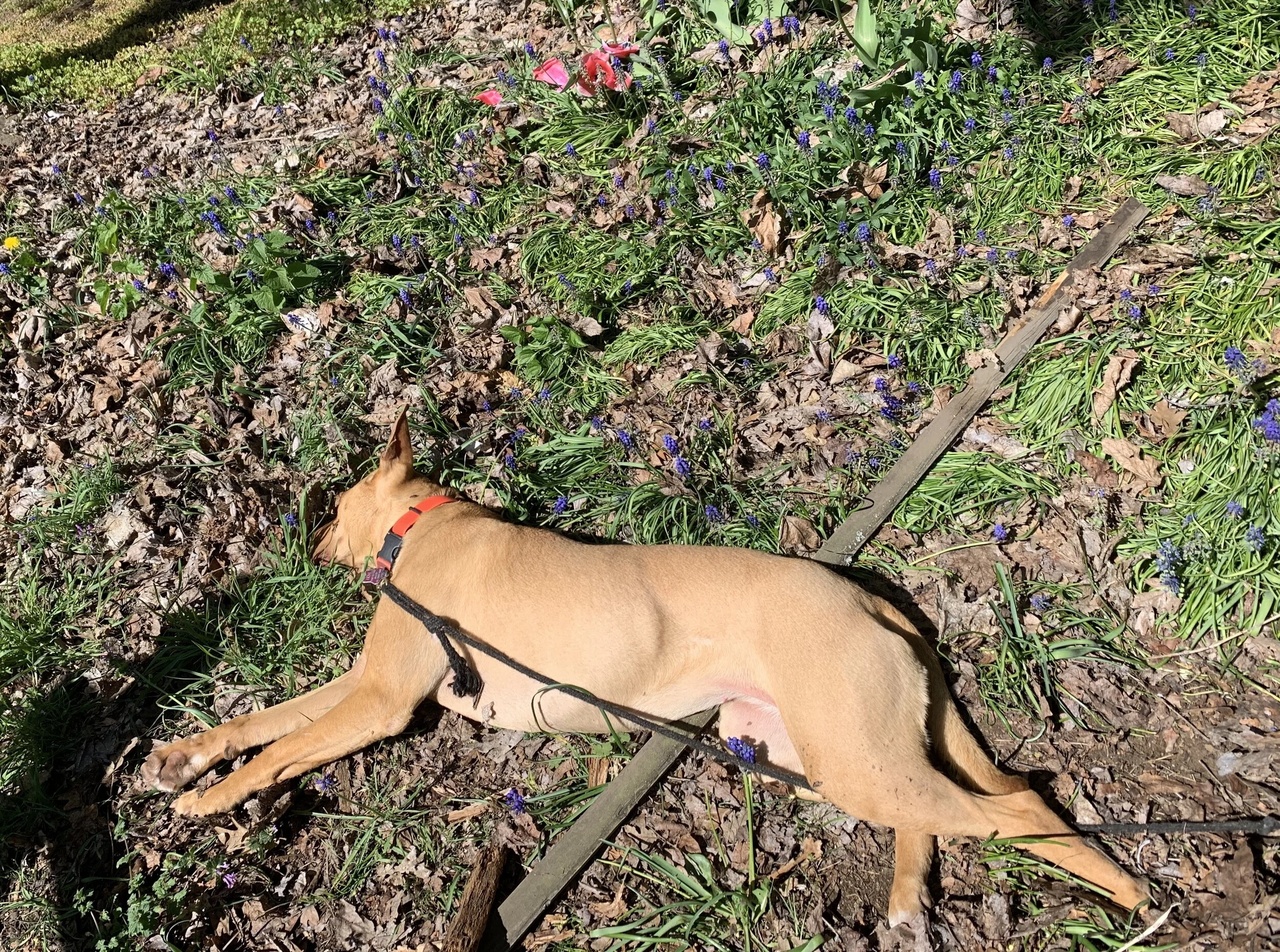 5 Tips for Better Sleep