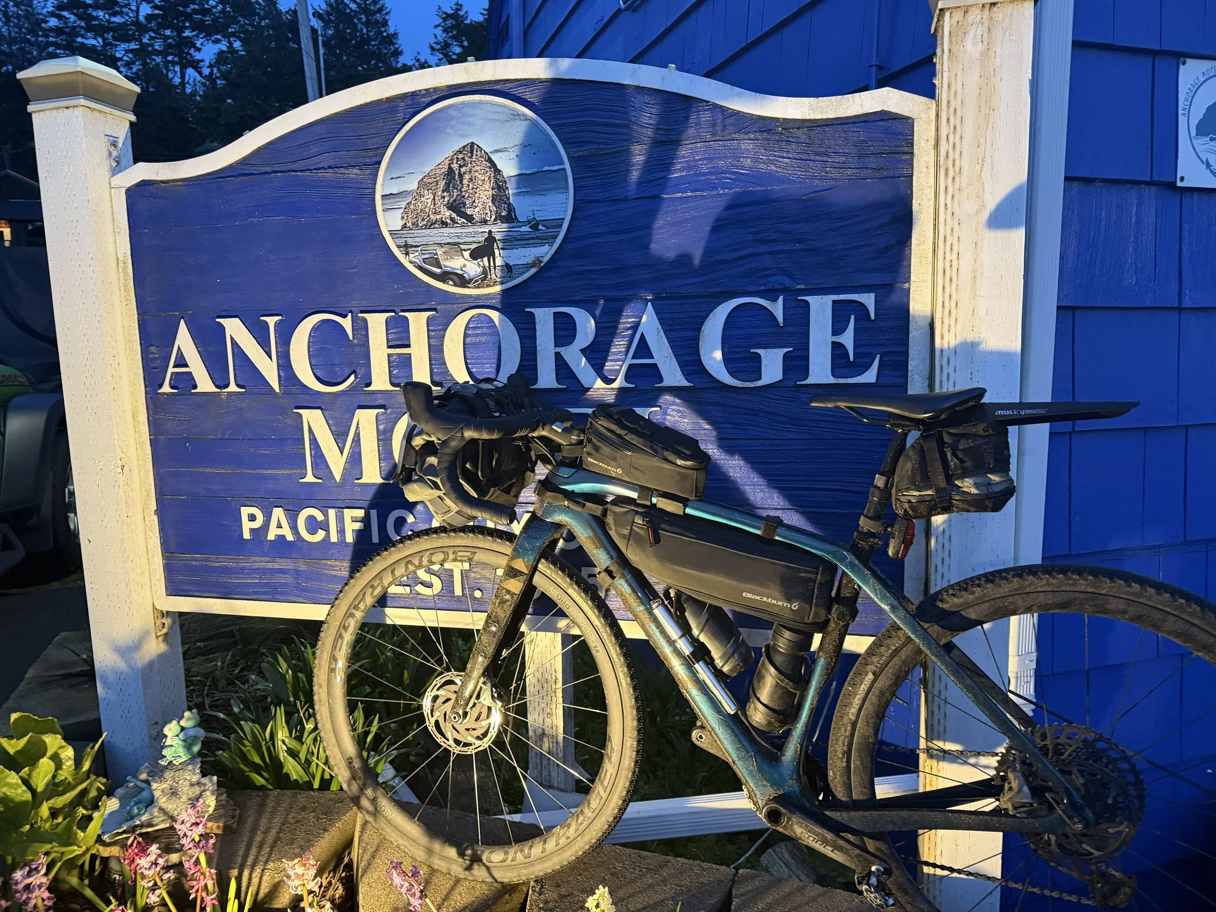 I Finished Dead Last