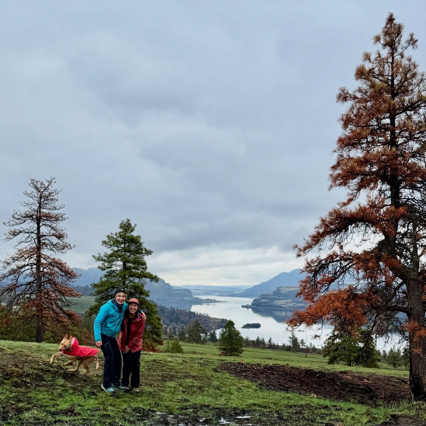 Thankful 🙏🦃🐶

@moremichlove #moxidog