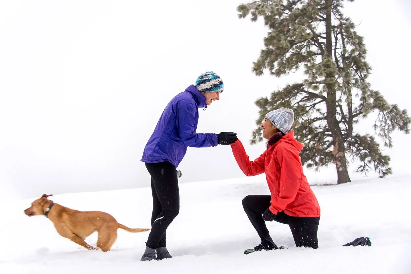 Why a personal engagement photo on a business account? 🤔 ⬇️ ⬇️ ⬇️

1) It&rsquo;s Valentine&rsquo;s Day. ❤️ So let&rsquo;s celebrate LOVE in all forms! Today is my 10 year engagement anniversary to @moremichlove ❤️ 

2) This photo was created by the 