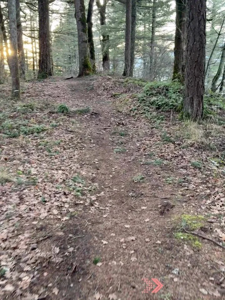 Have you ever avoided riding bc you&rsquo;re worried you&rsquo;ll get a flat or mechanical? 😬😬😬

Let&rsquo;s fix that!

Join our women&rsquo;s Tech clinics to learn:

🚵&zwj;♀️how to fix flat tires! Tubes and tubeless!

🚵&zwj;♀️ how to deal with 