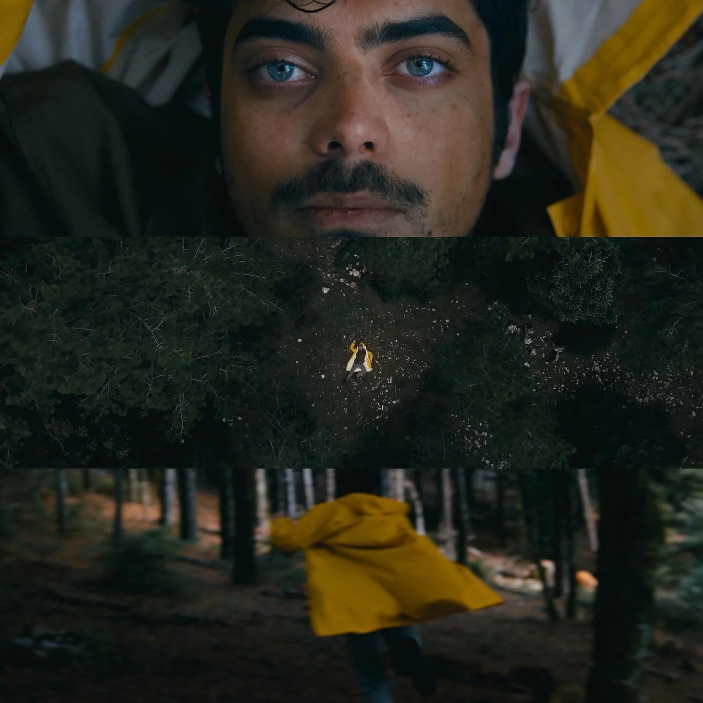 Metamorphosis

 #shortfilm #rhinoceros #filmaker #ionesco #artvideo #thetheatreoftheabsurd #artvideo #videocreator #berenger #woods #metamorphosis #actor #&theta;&epsilon;&alpha;&tau;&rho;&omicron; #&rho;&iota;&nu;&omicron;&kappa;&epsilon;&rho;&omicr