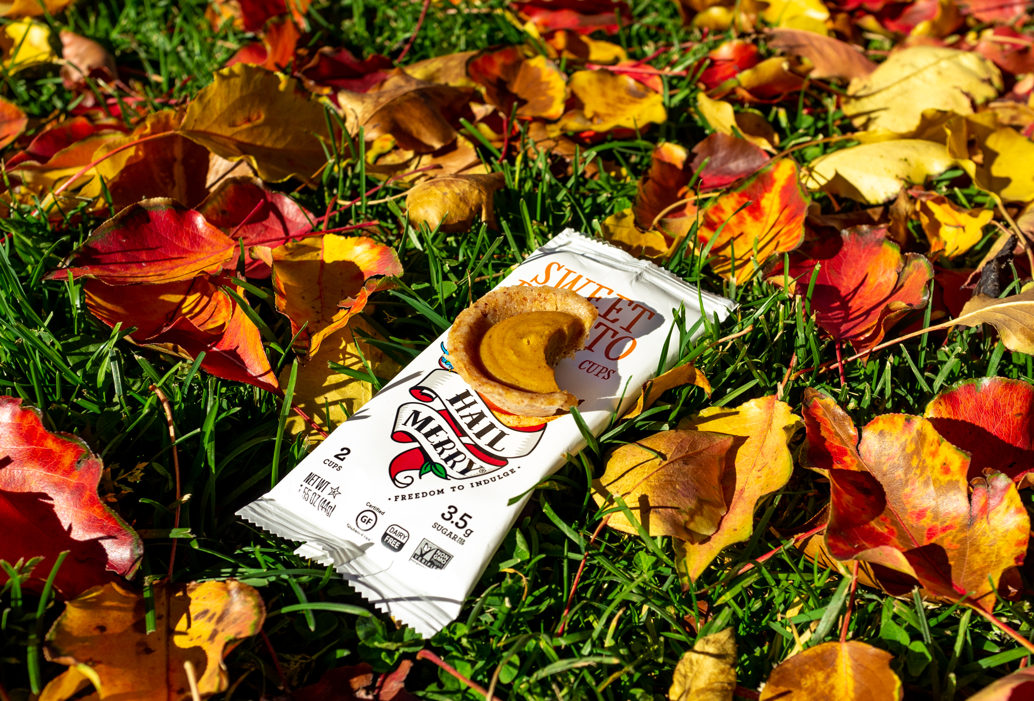 Hail Merry - Fall Leaves