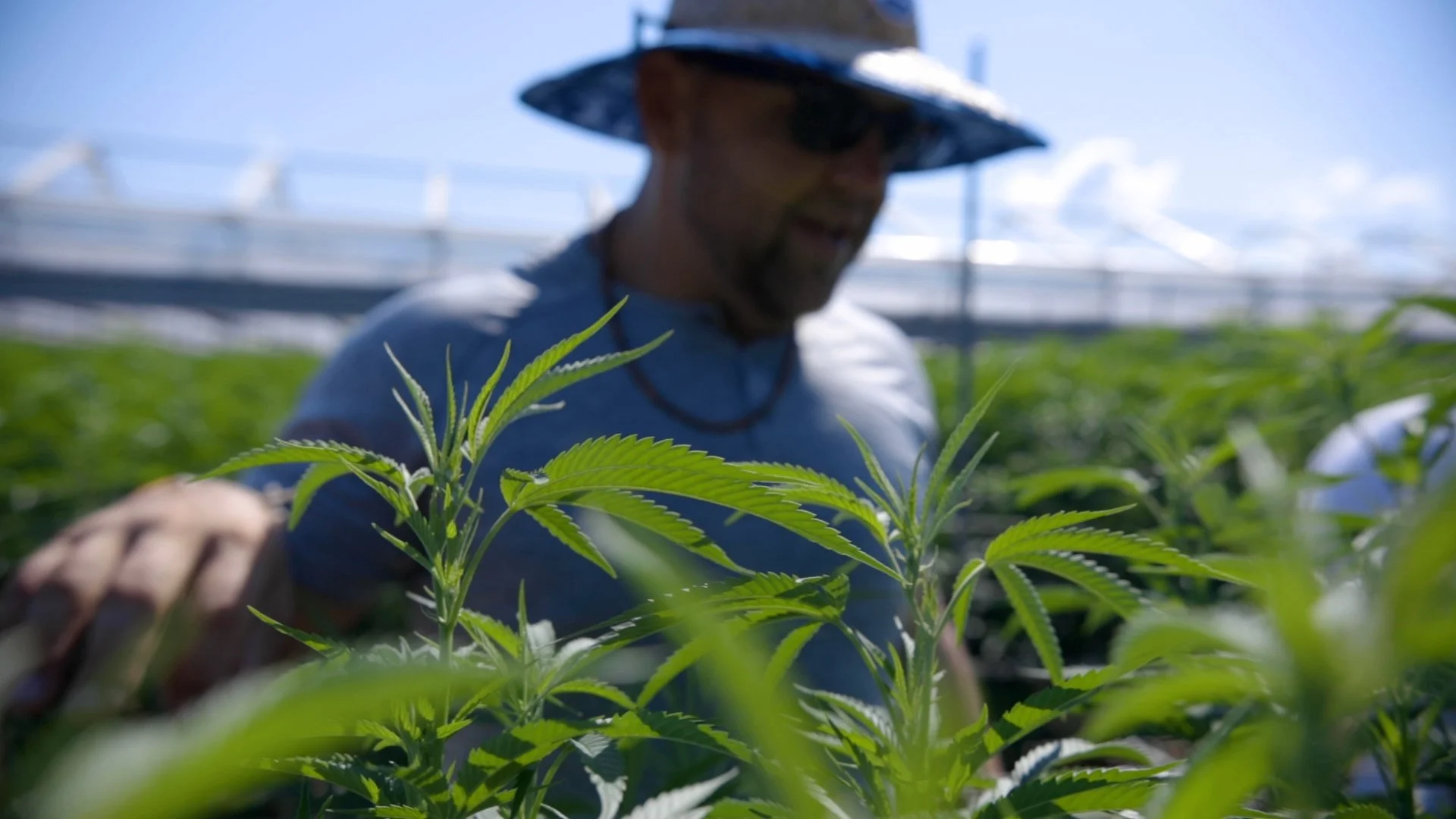 Bickel Consulting // Brand Story