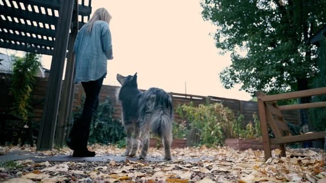 Arcatus Jewelry // Studio Short