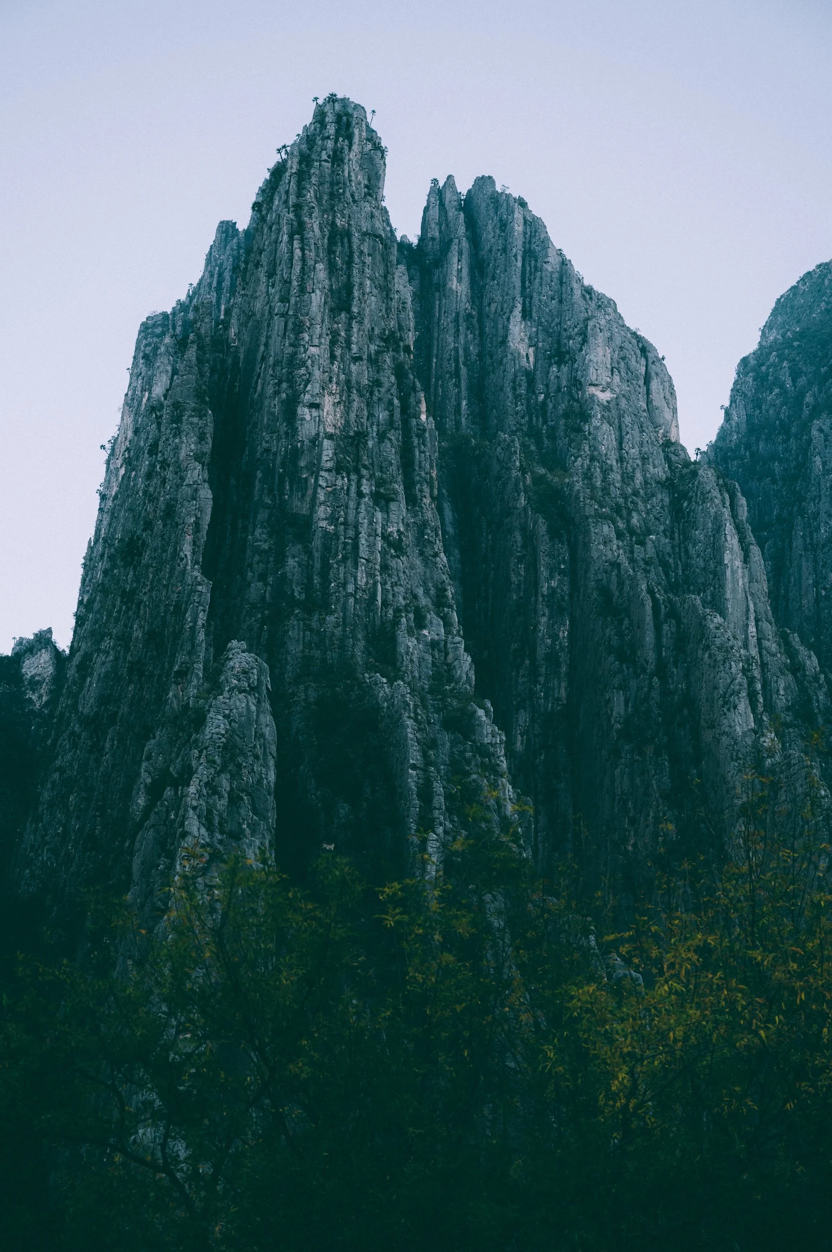 potrerochico.dec2022-1714.jpg