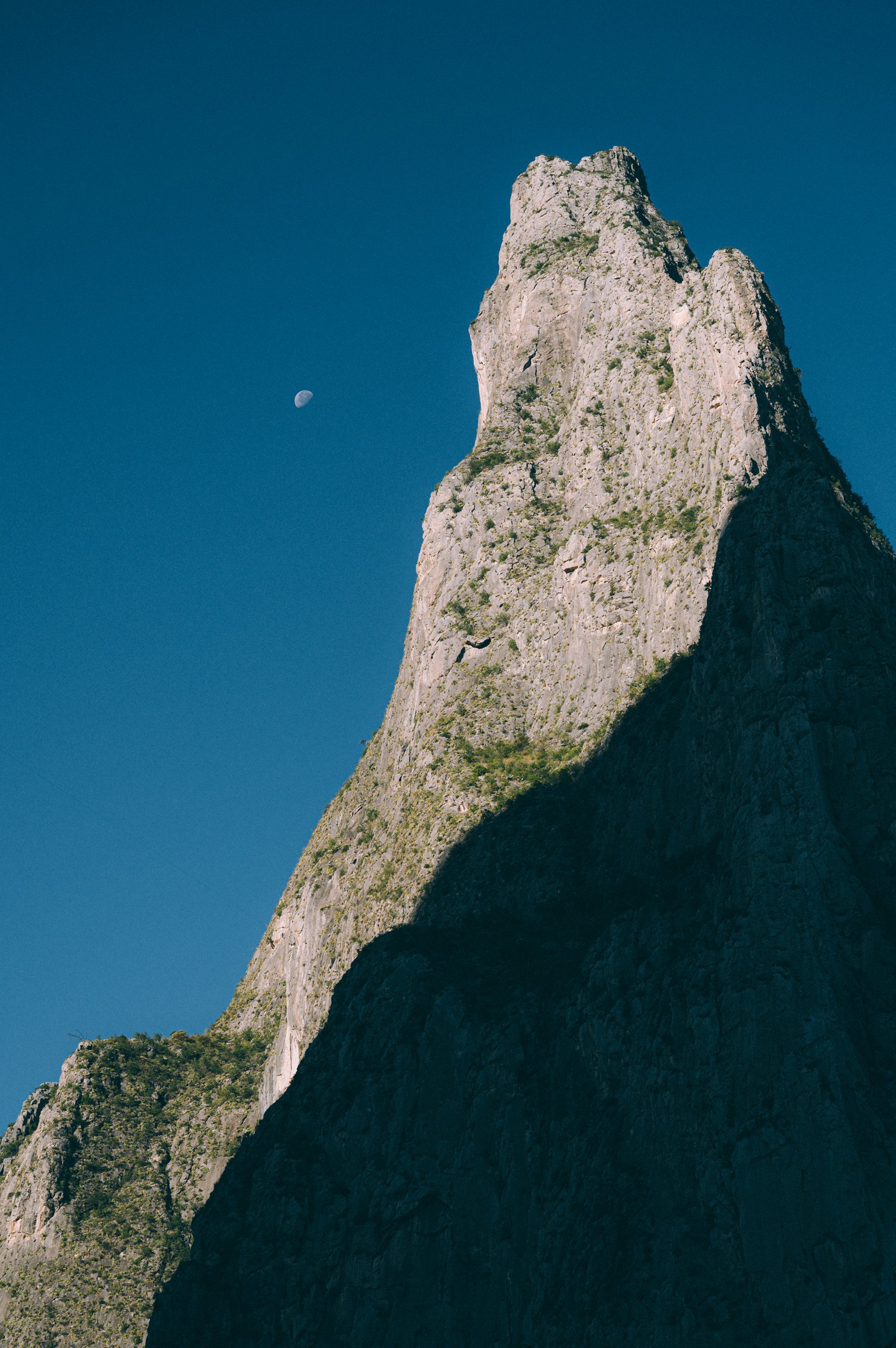 potrerochico.dec2022-1996.jpg