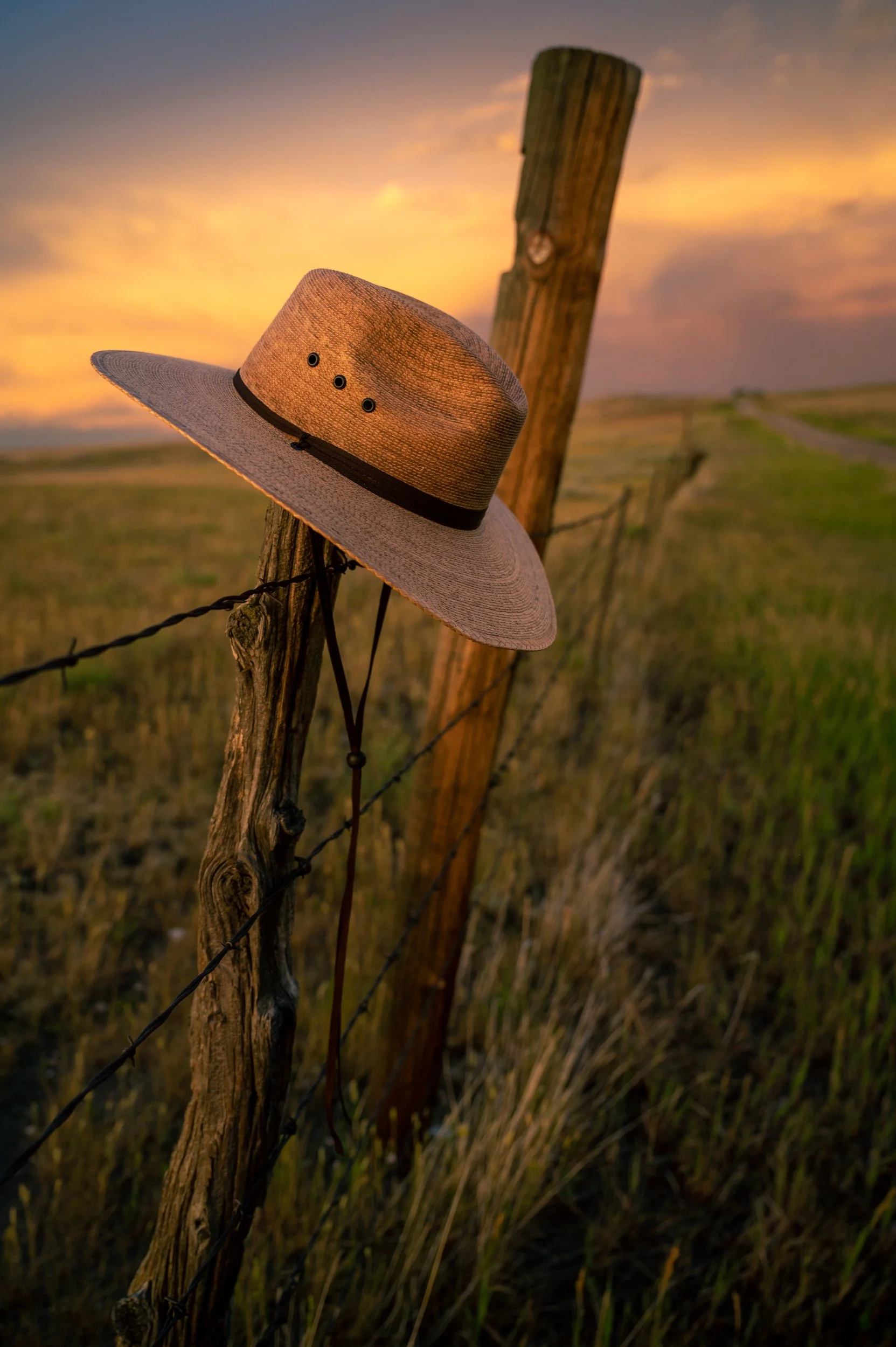 wallaroo.wyoming.july2022-1925.jpg
