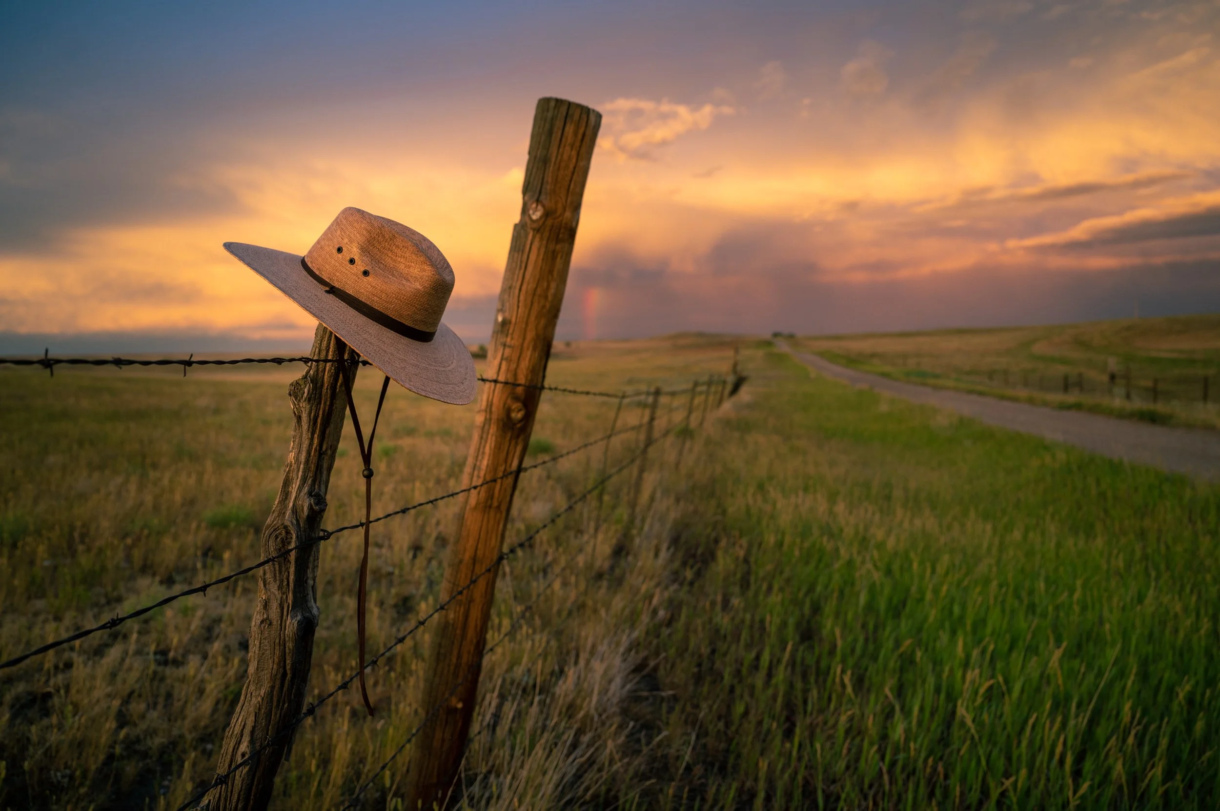 wallaroo.wyoming.july2022-1927.jpg