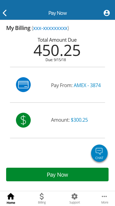 Pay Now Copy 2.png