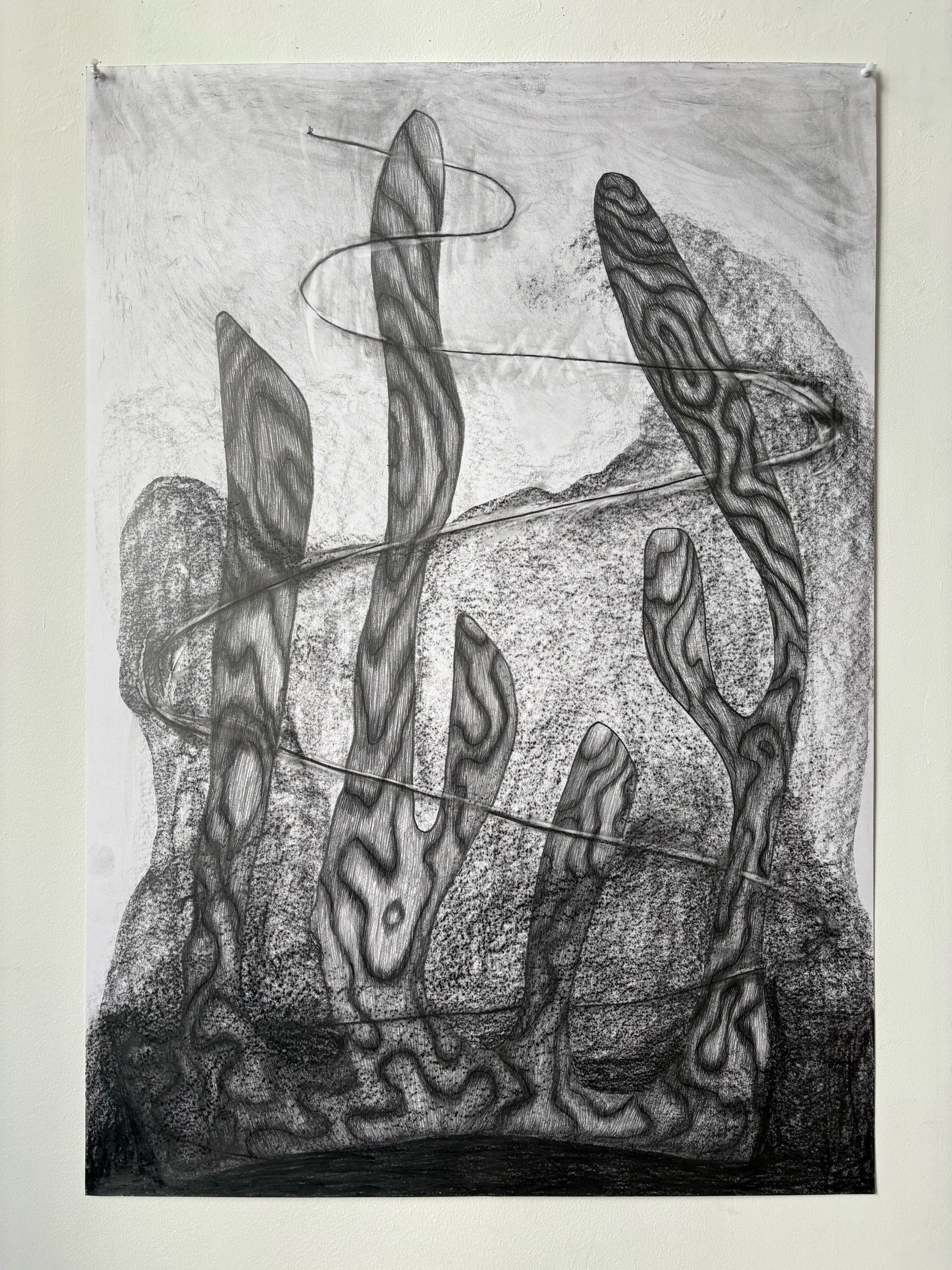 Untitled, 2025, Pencil in paper, 70 x 100 cm