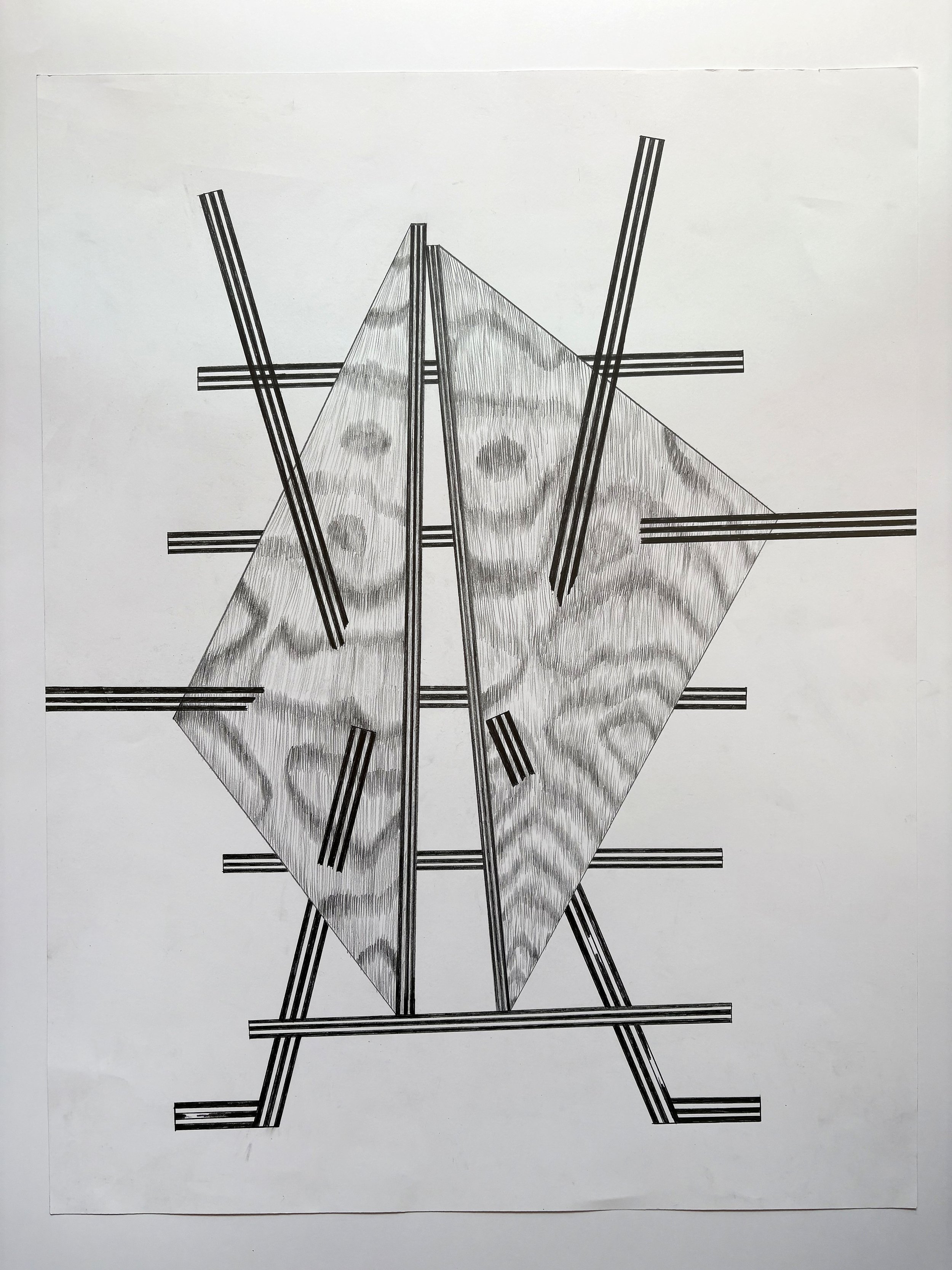    Weasel,   2026. Pencil on paper. 45.5 × 65 cm. 