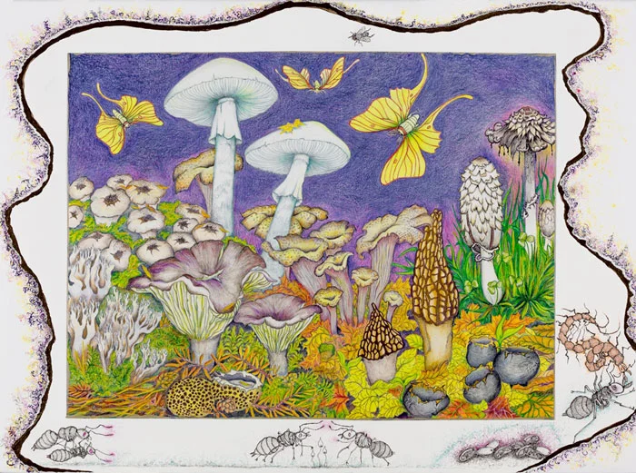 9.DUVAL_GUYLAINE__oeuvre_Papillon_Lune_1.jpg