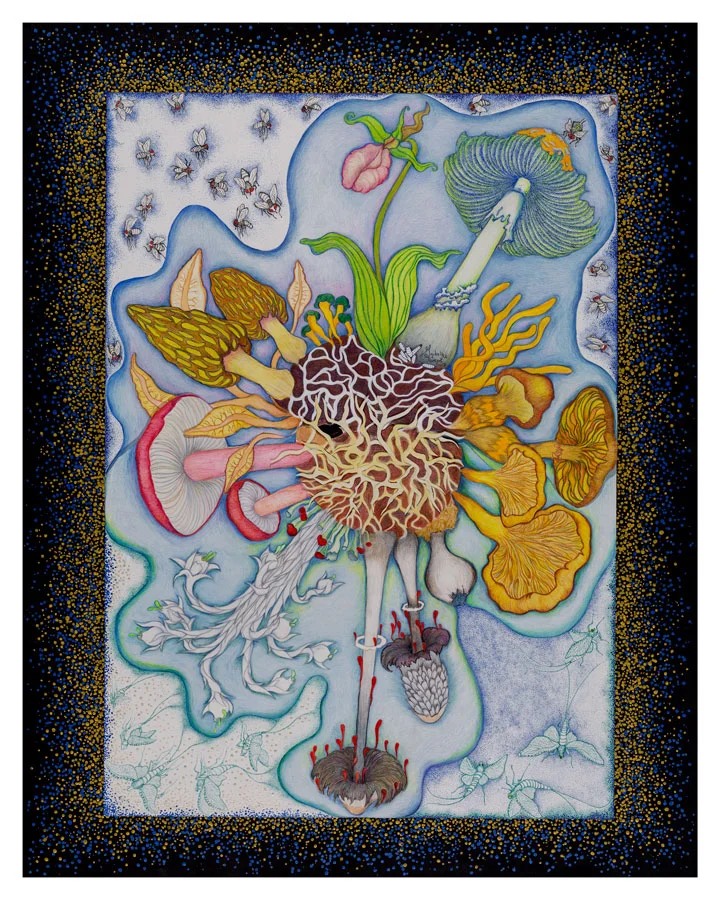 2.DUVAL_GUYLAINE_oeuvre_Cycle_de_vie_1.jpg