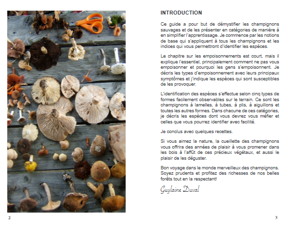 LIVRES — CHAMPIGNONS SAUVAGES - GUYLAINE DUVAL