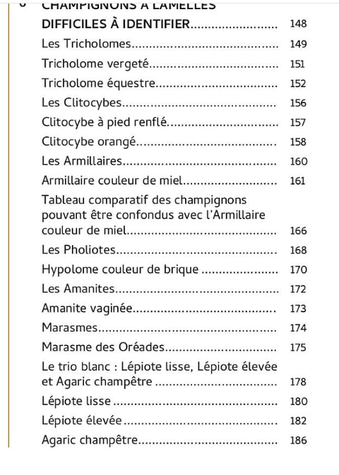 Capture d’écran 2026-07-18 140029.png