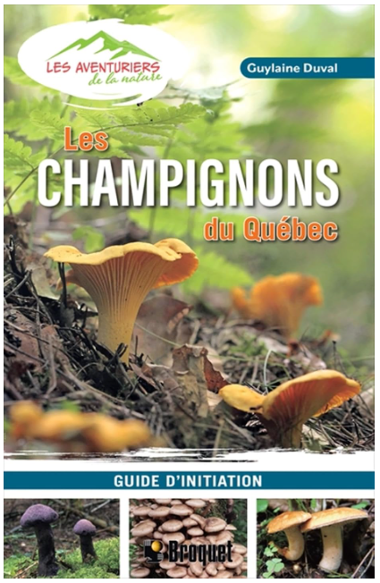 Capture d’écran 2026-07-18 133852.png