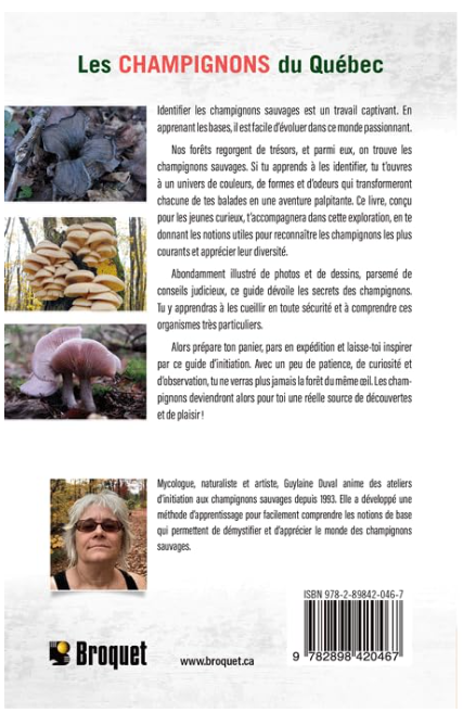 Capture d’écran 2026-07-18 142003.png