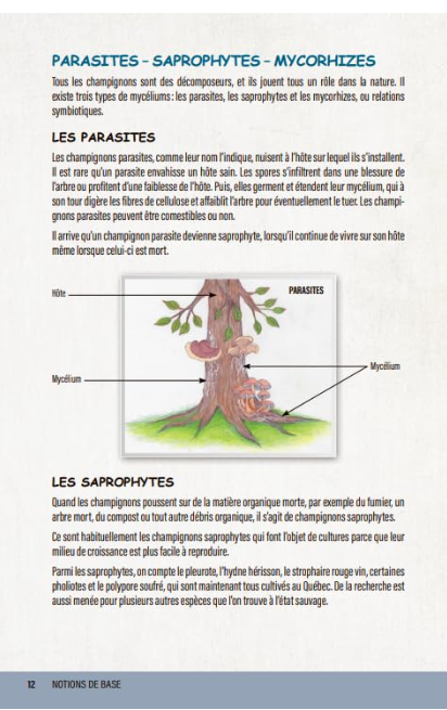 Capture d’écran 2026-07-18 142051.png