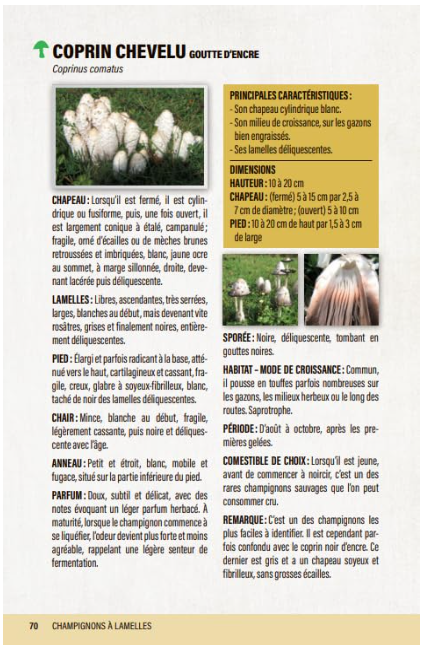 Capture d’écran 2026-07-18 142033.png