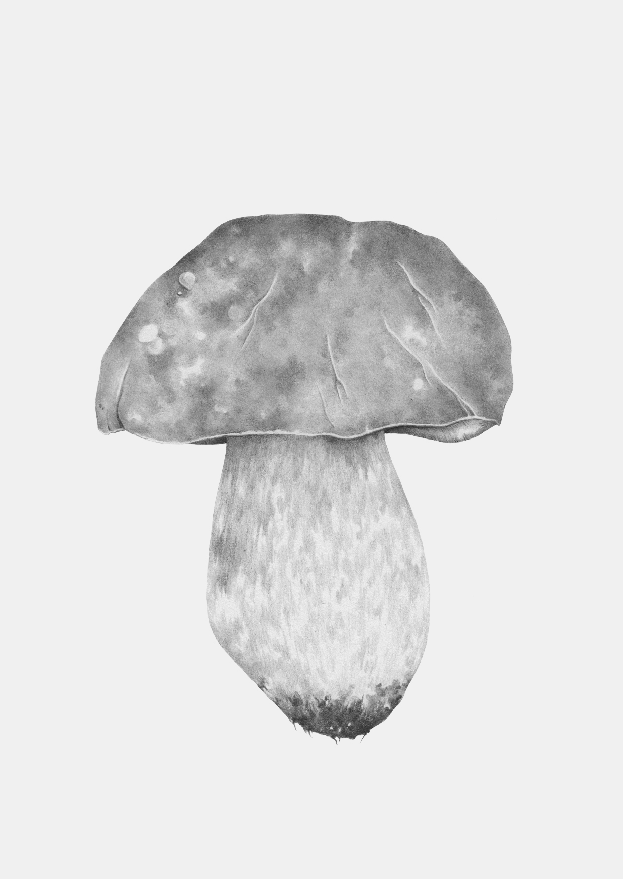 penny pun mushroom a6 grey back.jpg