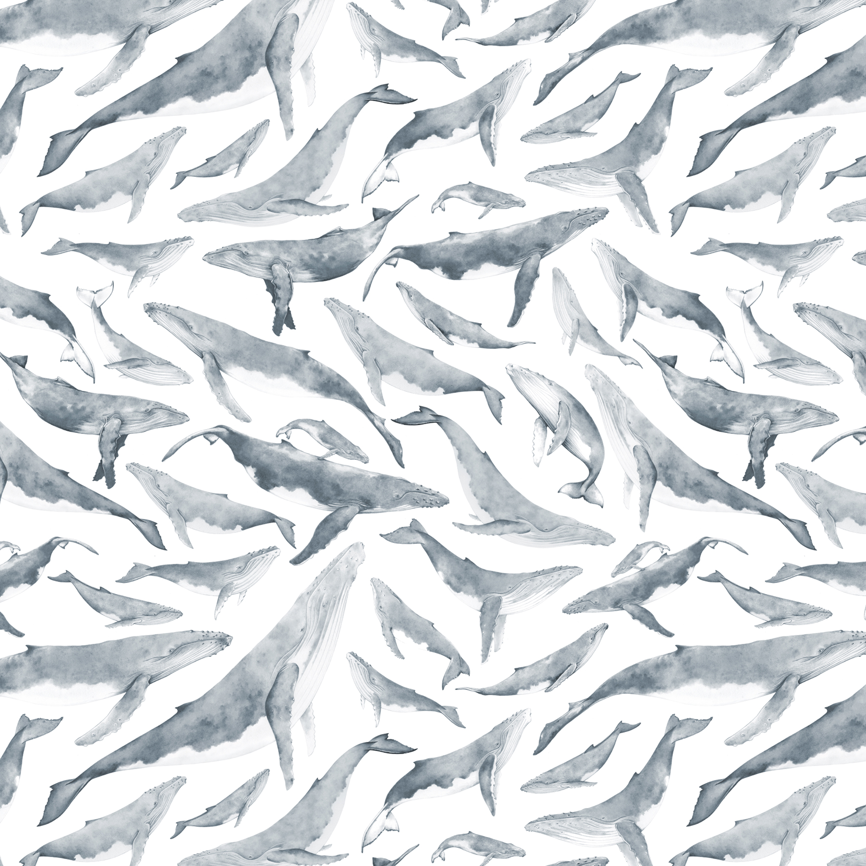 lauren fitton whale pattern 2.jpg