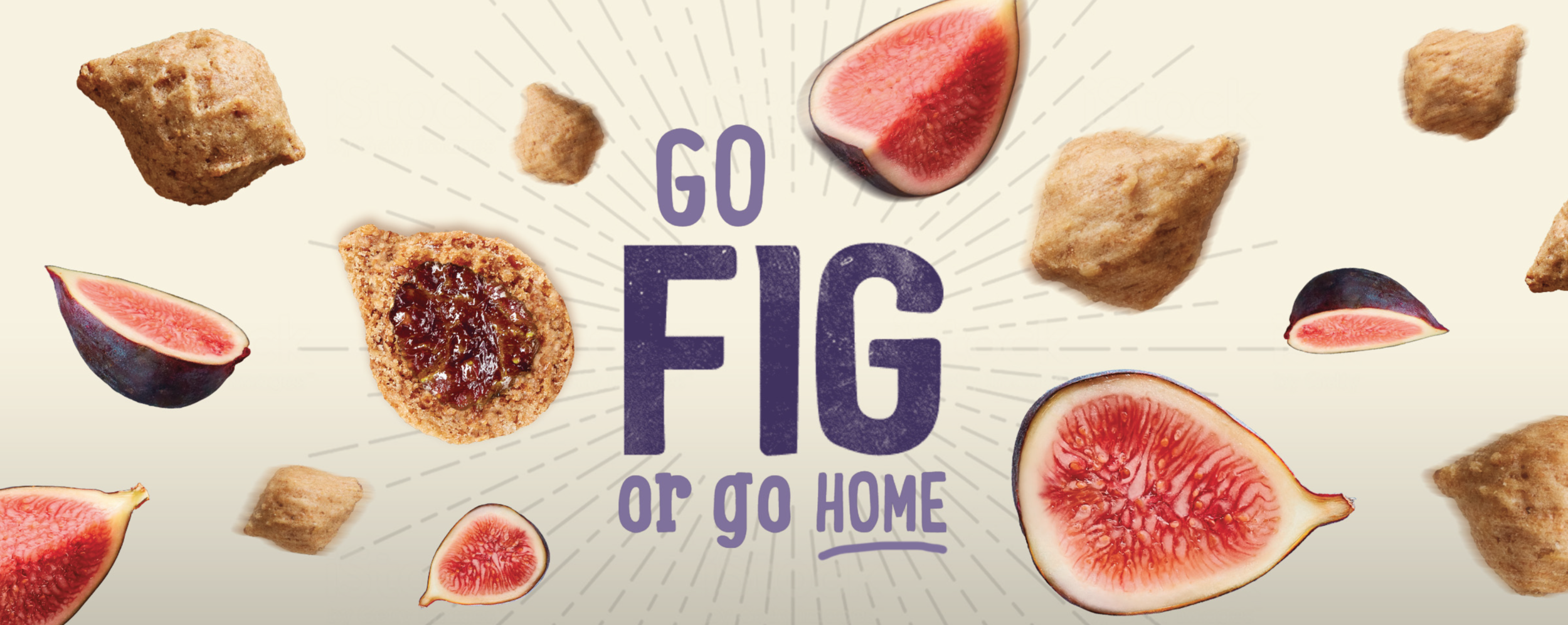 Figgin_Fruit_Case_Study-07.png