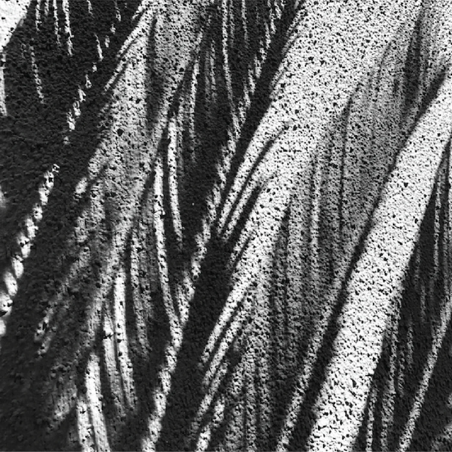 PastedGraphic-7 copy.jpg