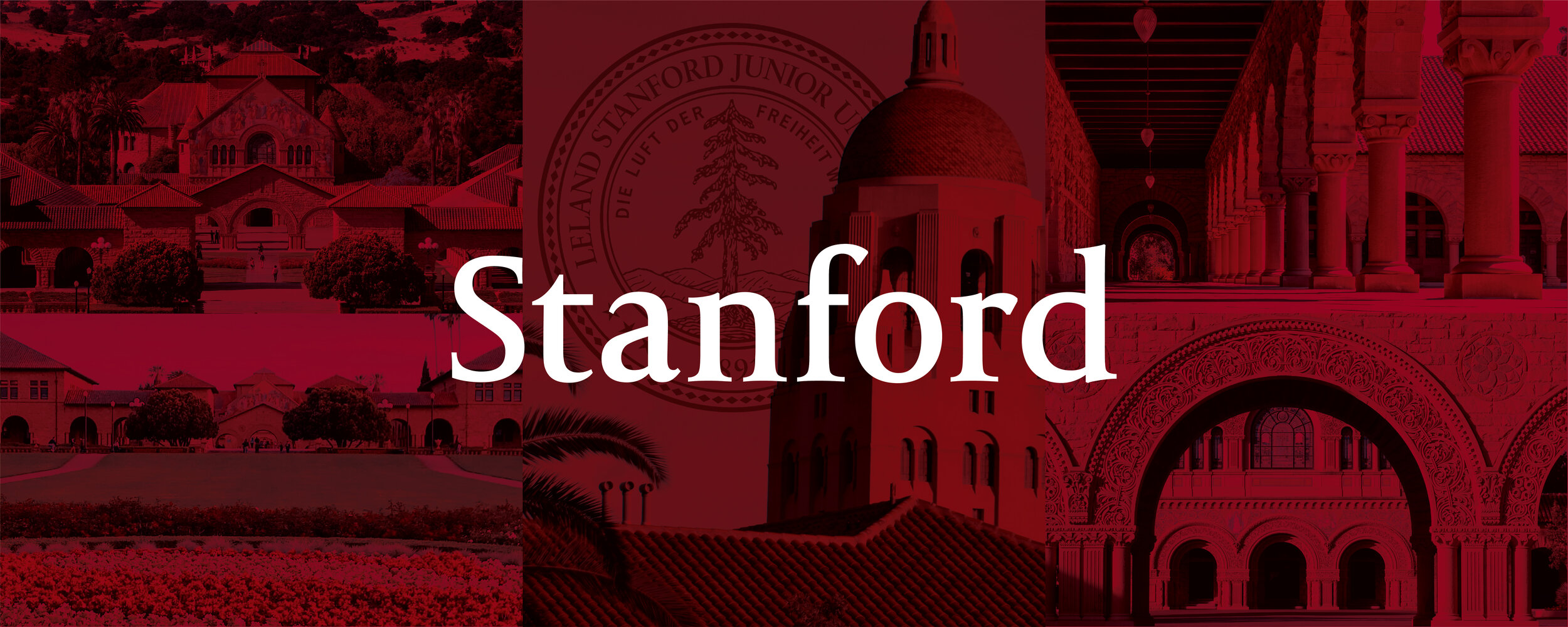 Stanford_Web-01.jpg