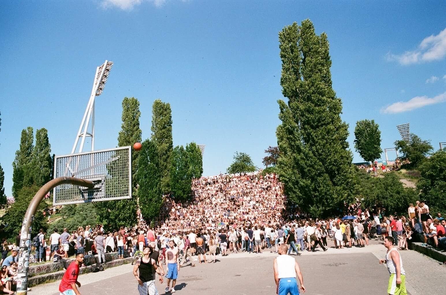313.JPG