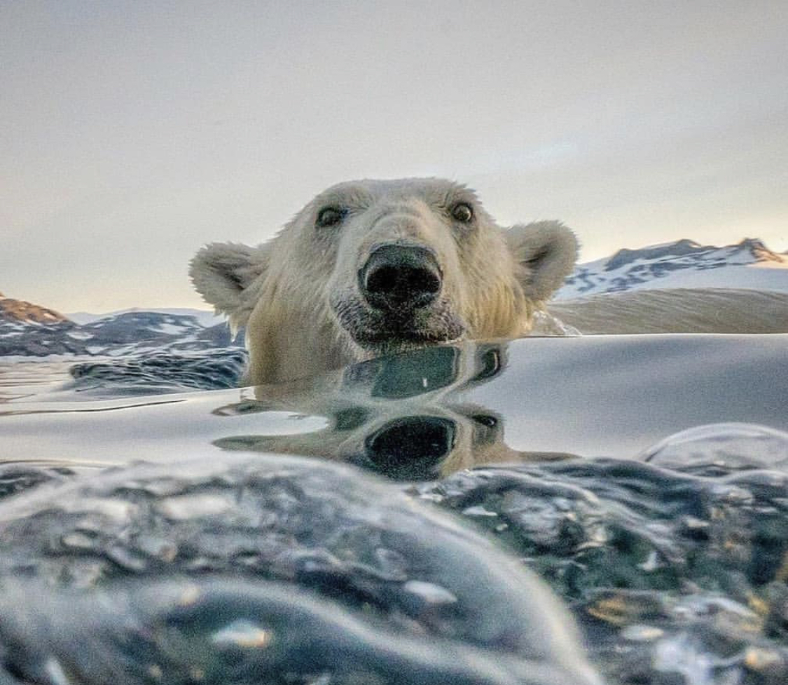 Photo: Andy Mann