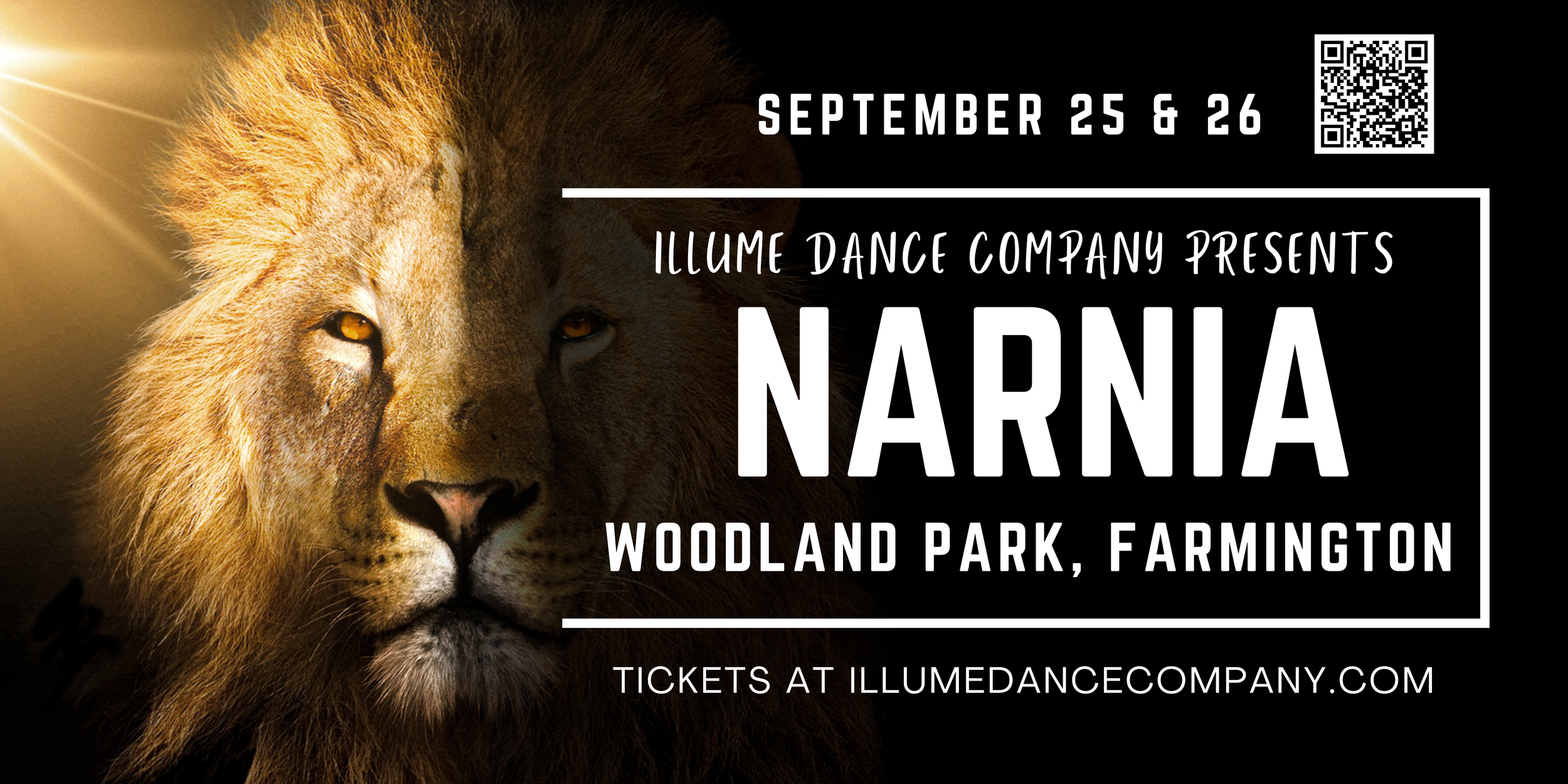 Narnia Banner (3x6 ft) (2).png
