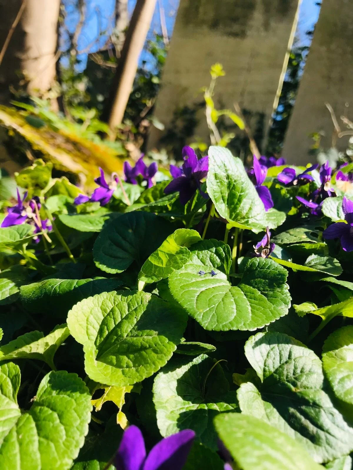 When the pain comes...