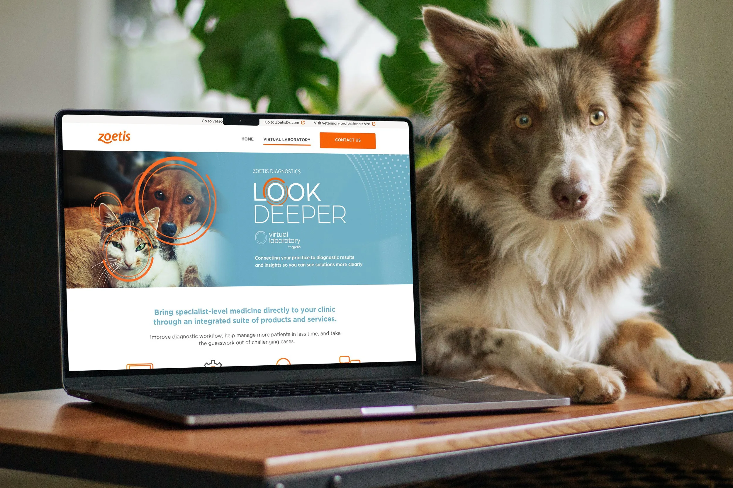 Free MacBook Pro with Doggy on Table Mockup copy.jpg