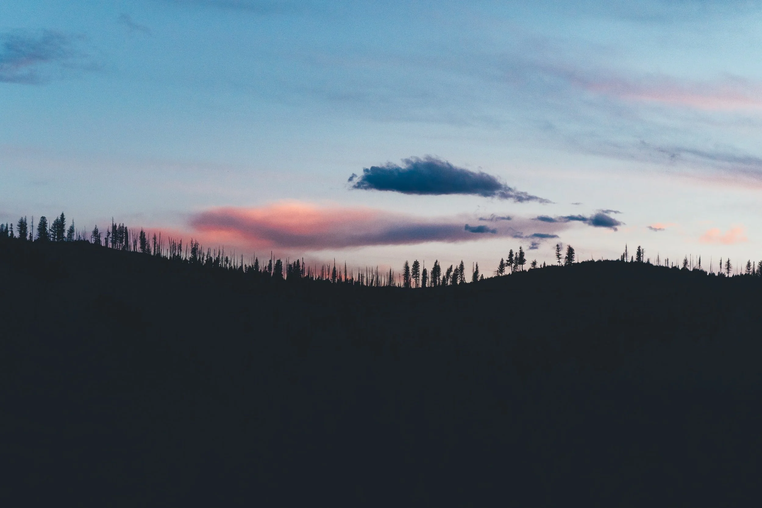 unsplash-image-_uQqjtLk_Cs.jpg