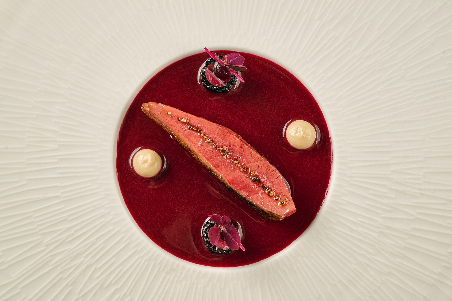 Charcoal Grilled Pigeon
Preserved Mulberry | Sauce Rouennaise

A new dish takes flight on Menu 50. We&rsquo;re working with beautiful Huzhou pigeon, aged for four days and grilled over charcoal. It&rsquo;s served with a silky white bean pur&eacute;e 