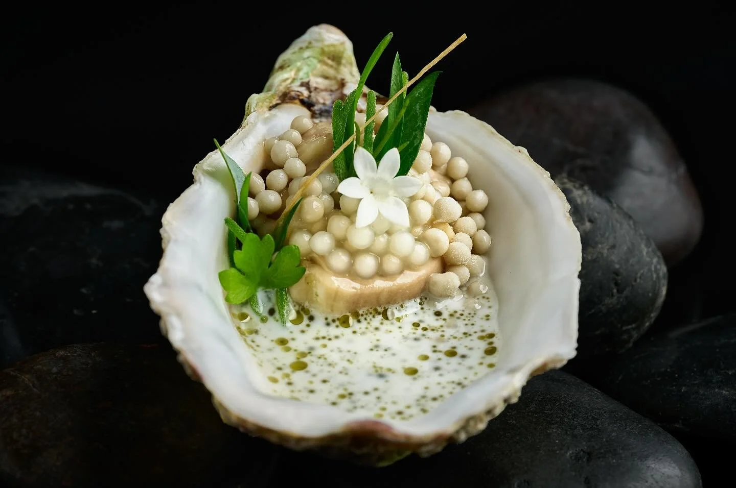 Oyster La Bourriche No. 2 🦪 
Wakame | Kombu | Yoghurt

Making its debut on Menu No. 51 &mdash; a reimagined take on one of our classics.
An oyster&ndash;seaweed custard with dashi, bonito, kombu, and kaffir lime sets the base. Brightness comes from 