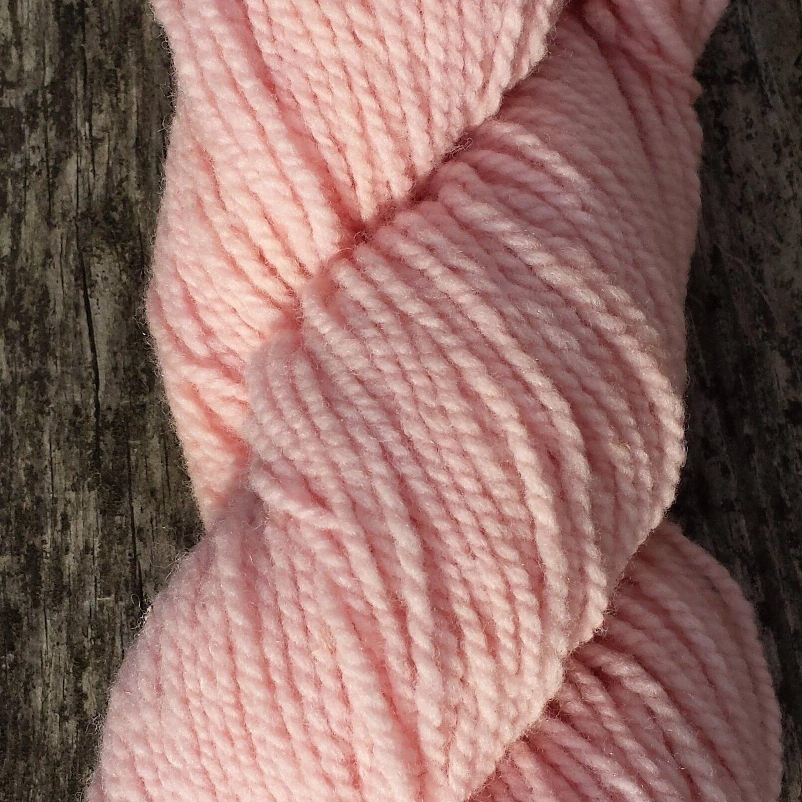 amaranth1.jpg