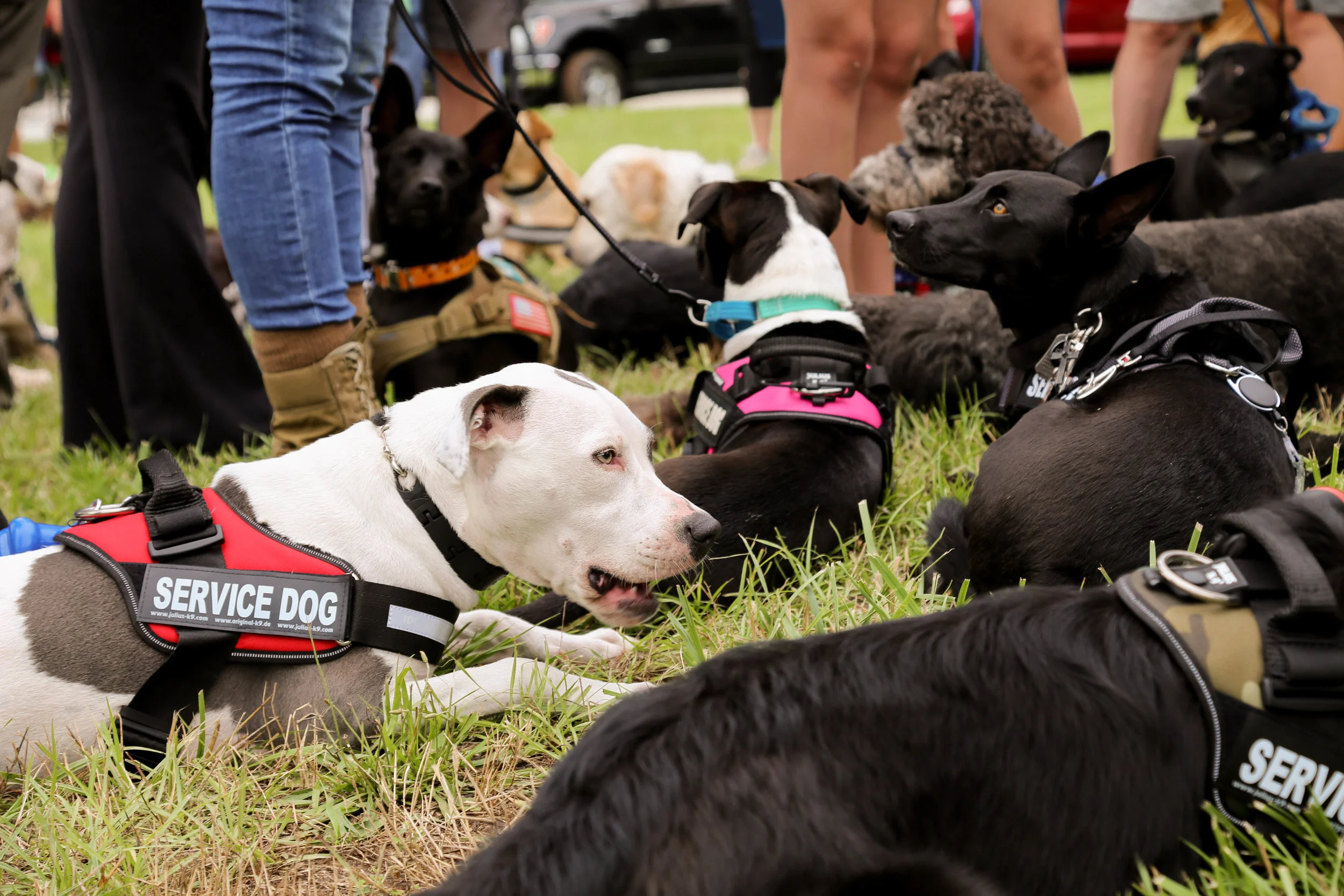 Lani (in red) completing an activity at a Healing4Heroes™ training session.