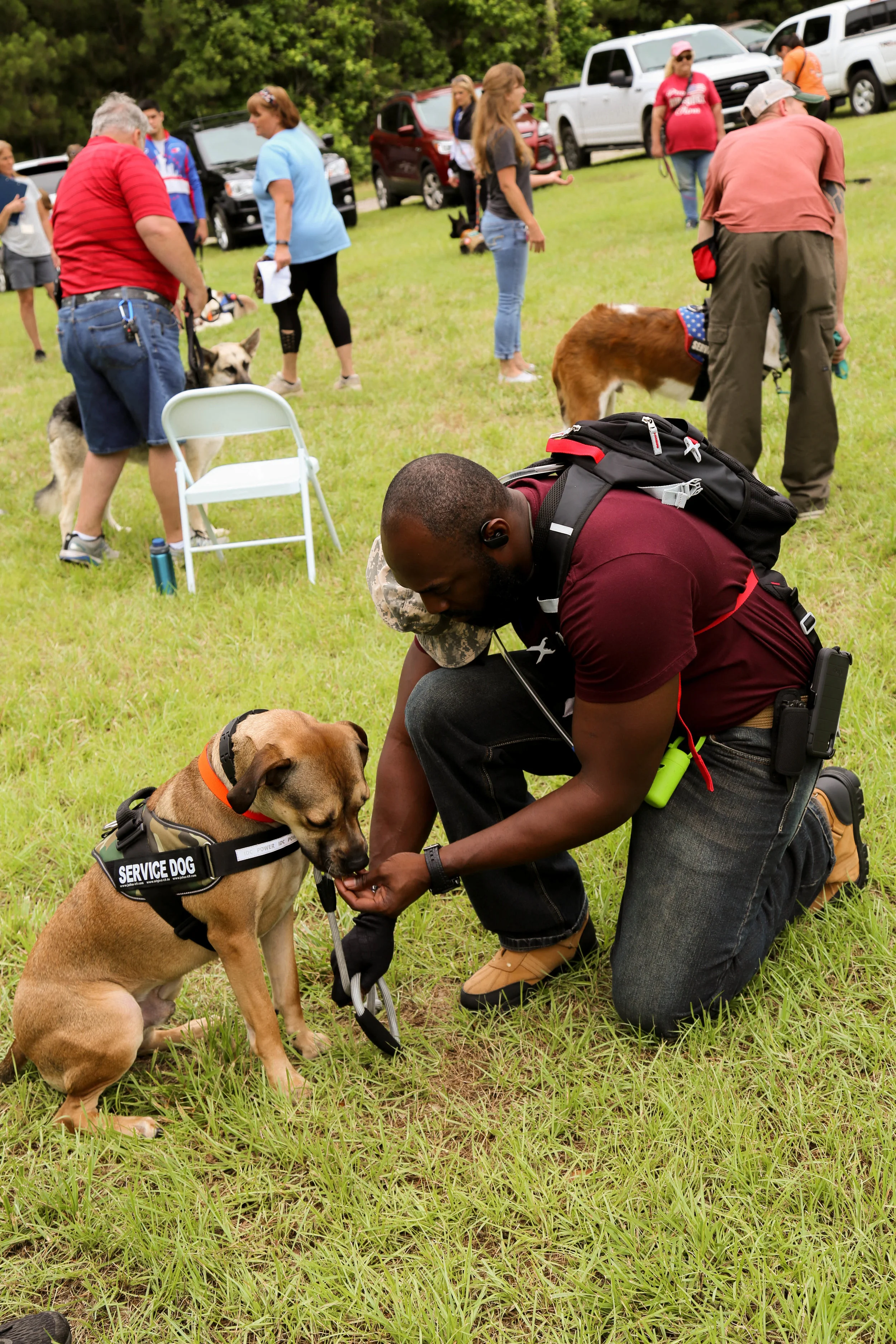 Service dog being awarded for obeying at a training.