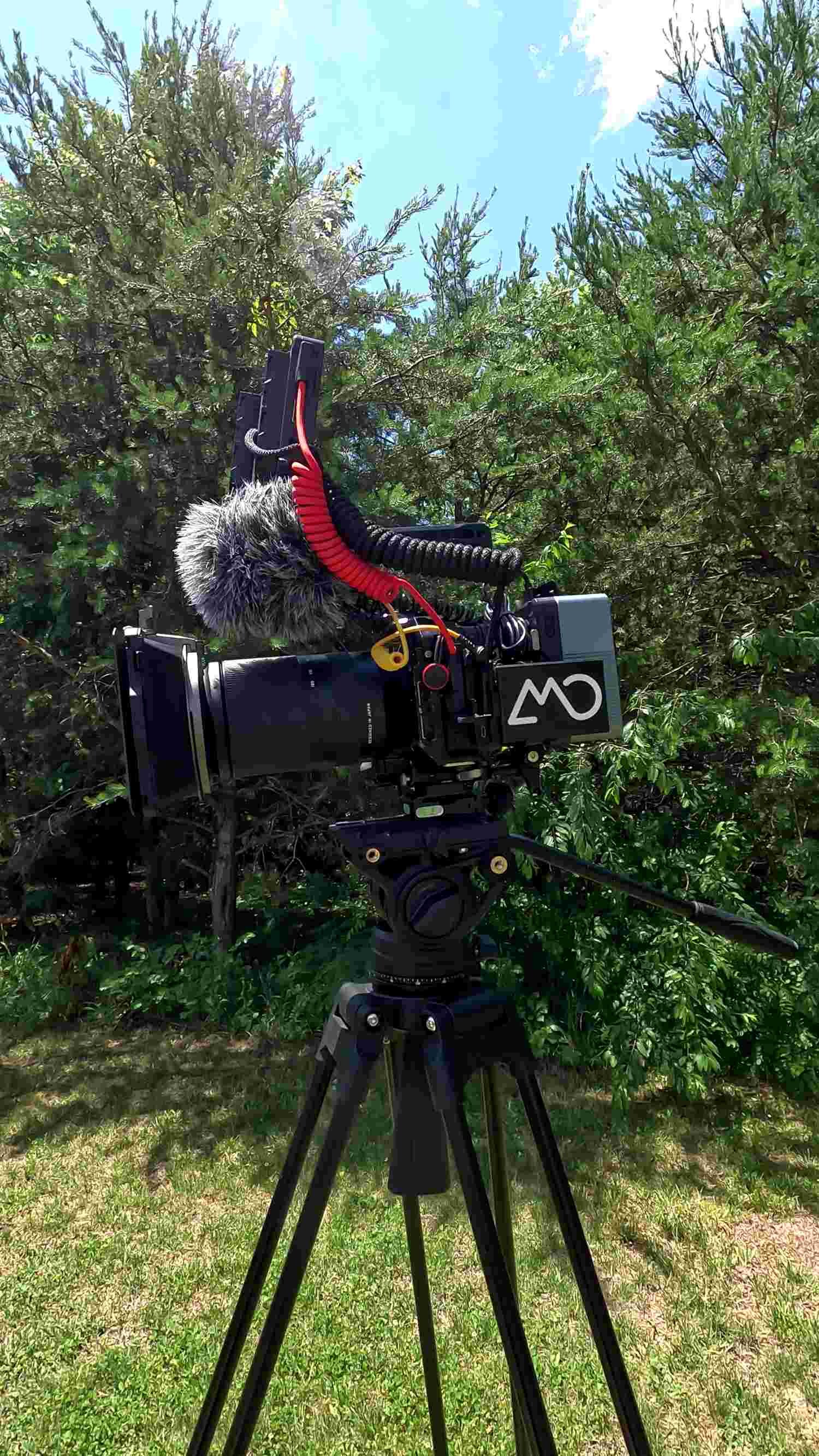 A professional camera mounted on a tripod in front of green bushes and trees outdoors, under a partly cloudy sky.