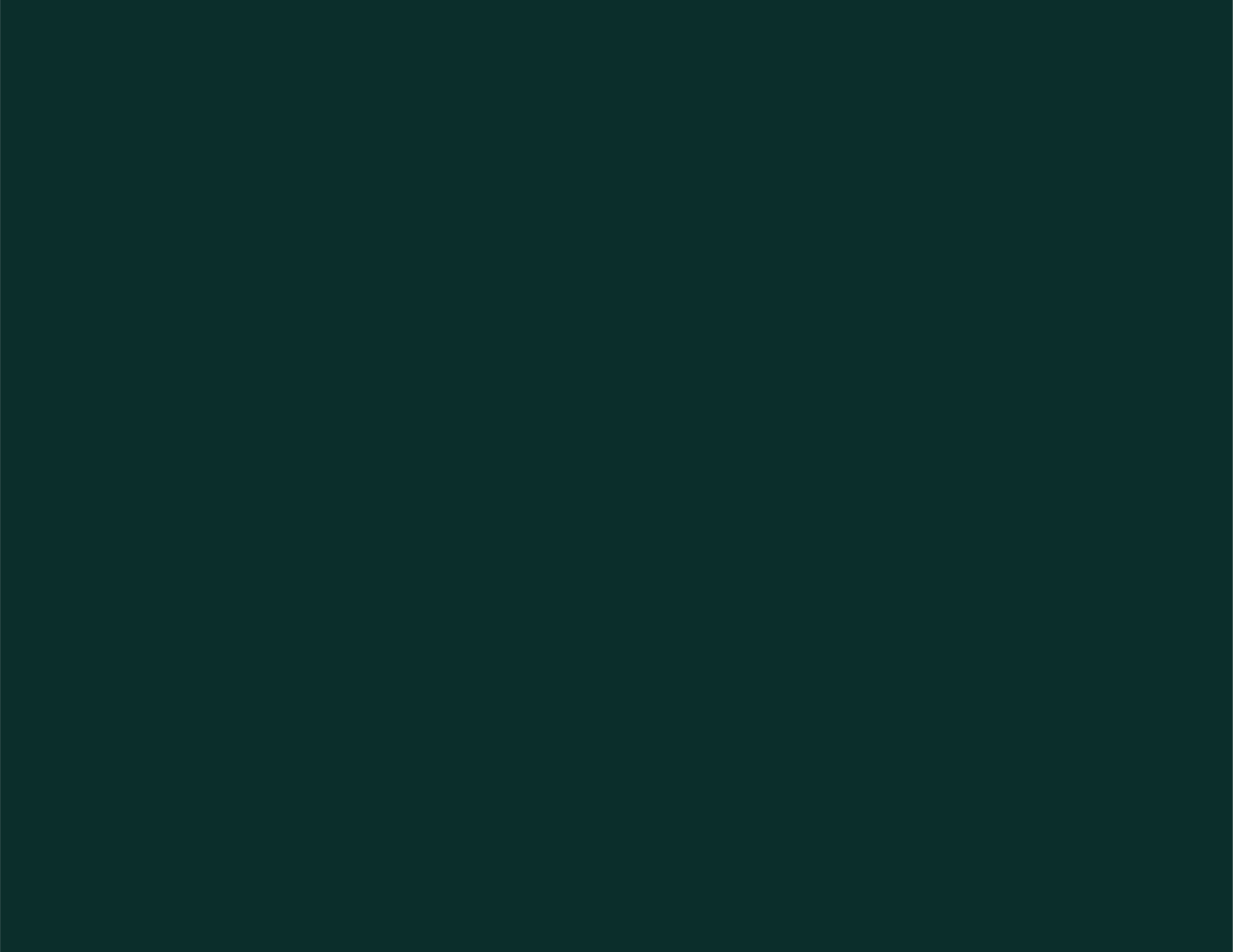 Untitled-1-02.png