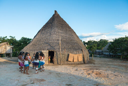 Climate, COVID and Javari Brazil — My Friend James