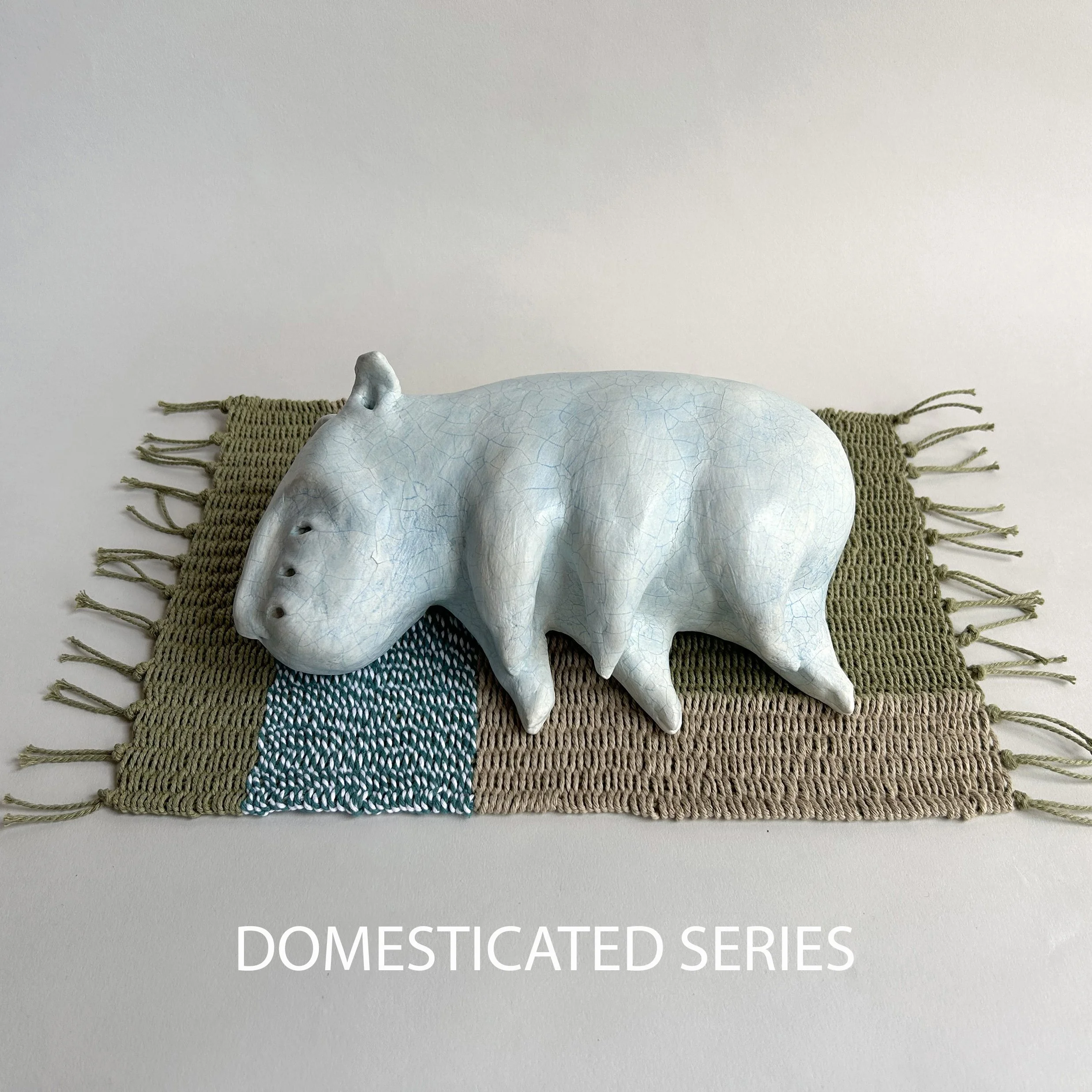 DOMESTICATED COVER.jpg