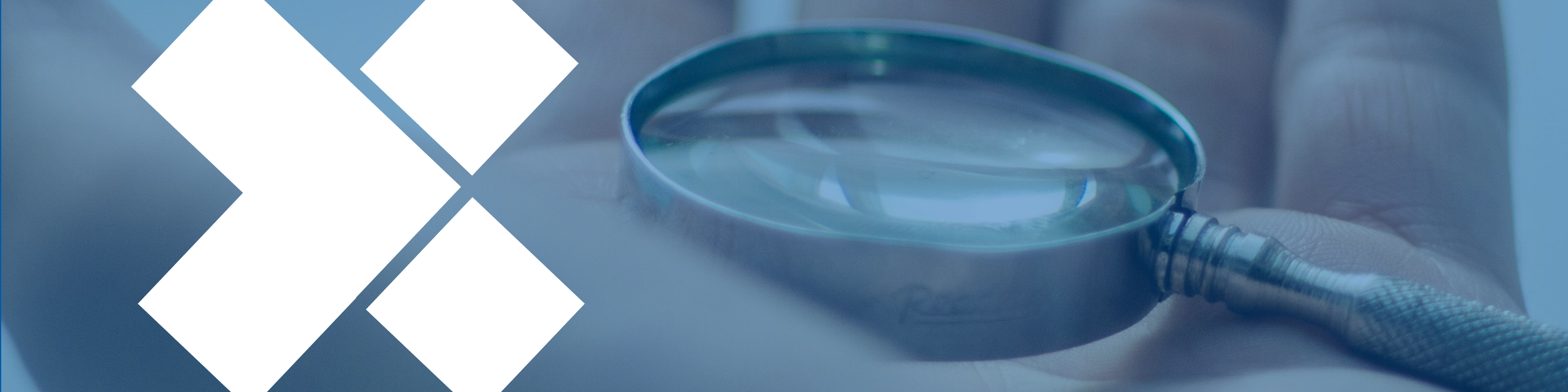 Banner Image - magnifying glass w.cross.png
